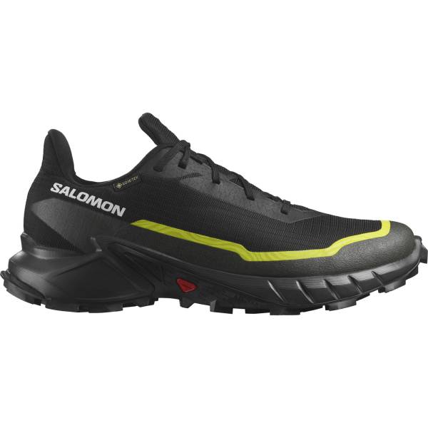 Salomon ALPHACROSS 5 GORE-TEX 46.