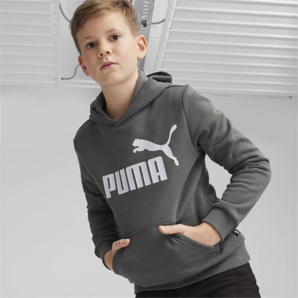 Puma ESS Big Logo Hoodie FL B 140.