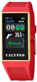 Calypso SmarTime K8502/3.